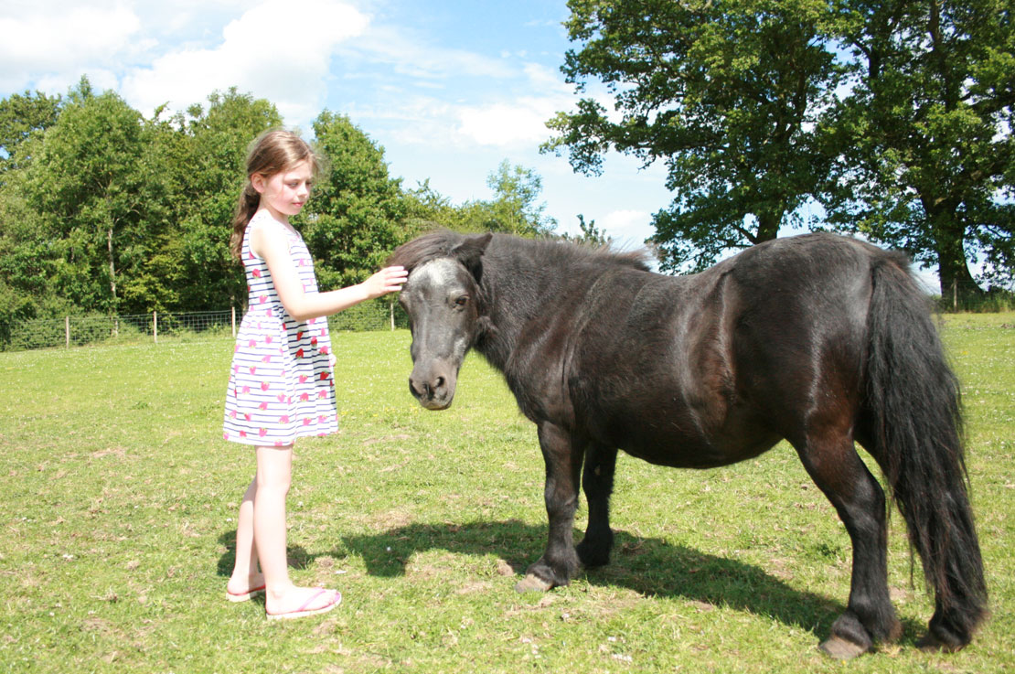 Girl Petting Pony whilst Glamping