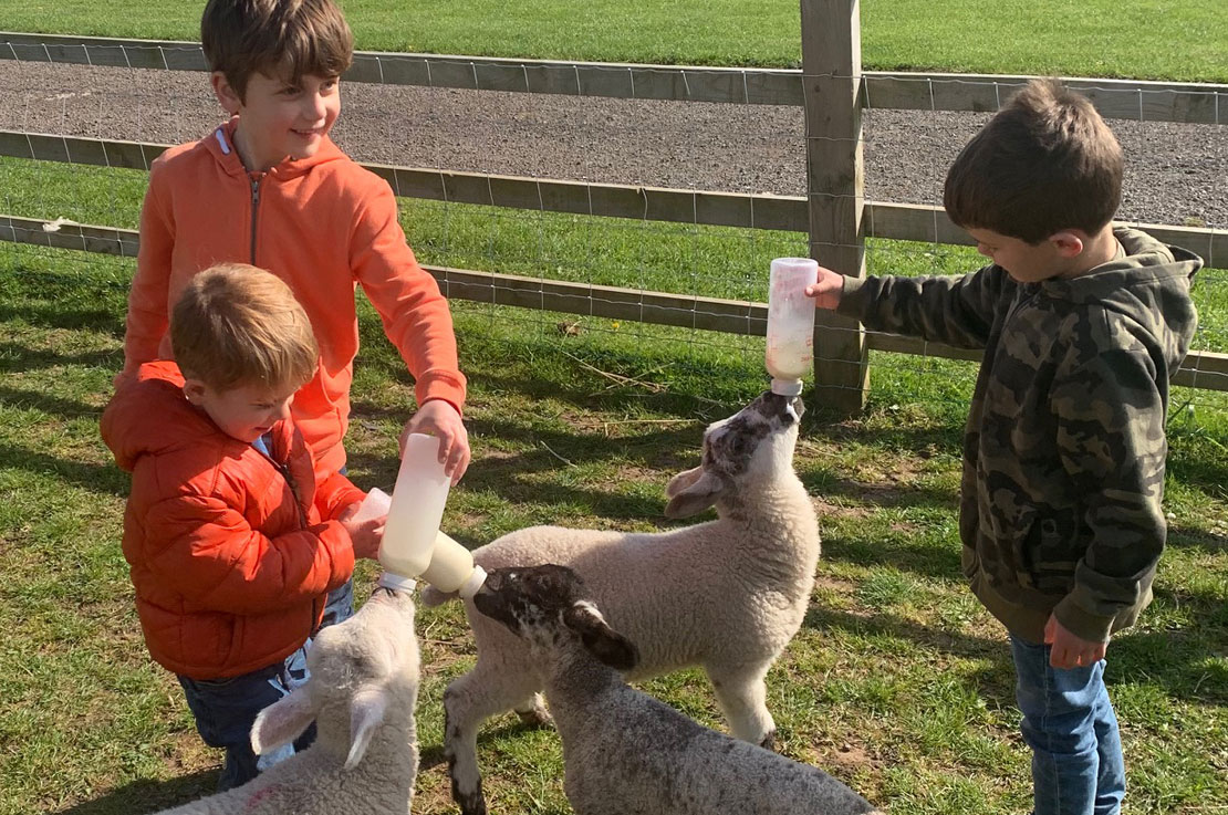 Kid Friendly Camping - Feeding Lambs